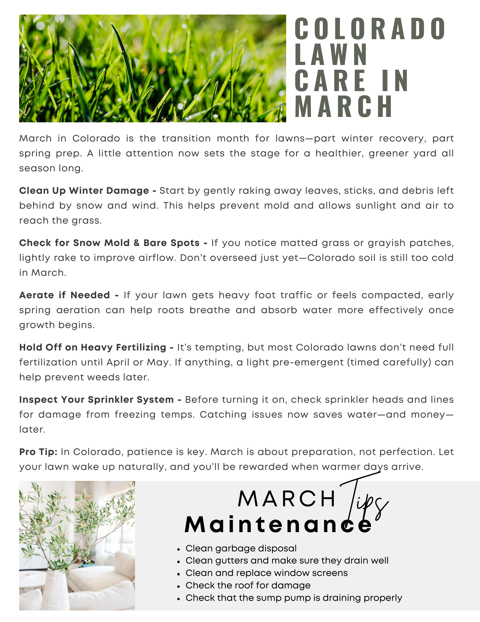 Cori Cutler March 2026 Newsletter